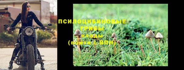 дмт Алзамай