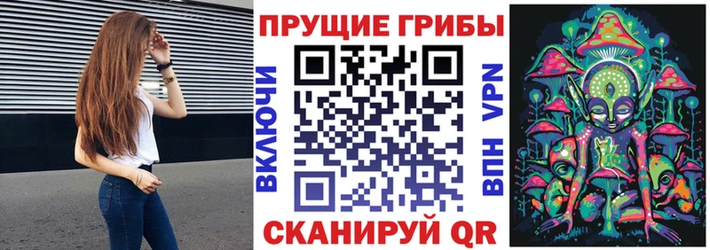 Галлюциногенные грибы Psilocybe наркота KRAKEN зеркало Дзержинский