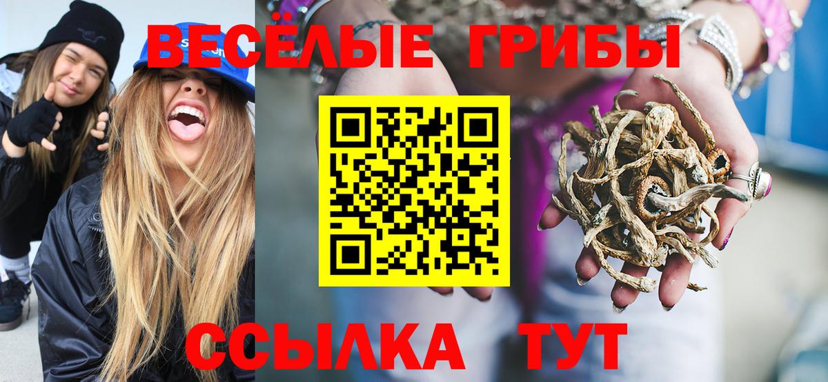 Псилоцибиновые грибы мухоморы Дзержинский